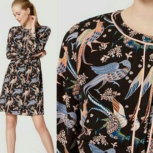 Ann Taylor Loft  long sleeve dress NWT
